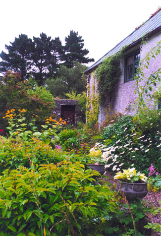 Salthill Walled Garden - County Donegal